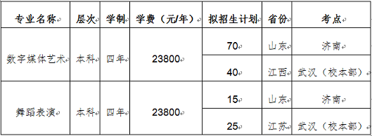 武汉工商学院2019年艺术类专业校考公告