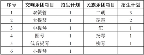 南京大学2019年高水平艺术团招生简章