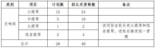 华中科技大学2020年高水平艺术团招生办法