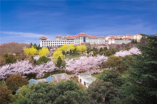 西安思源学院 "樱"开满"源" 唯美了整个春天!