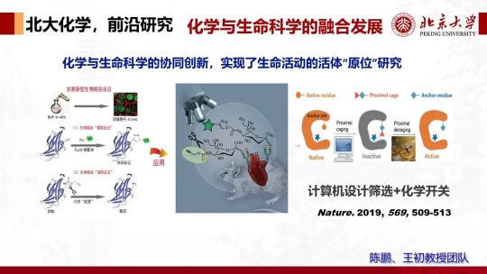 北京大学强基学科解读 | 化学:化梦为实,学以探奇(图12) 北京大学强基学科解读 | 化学:化梦为实,学以探奇(图12)