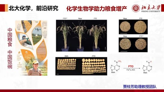 北京大学强基学科解读 | 化学:化梦为实,学以探奇(图13) 北京大学强基学科解读 | 化学:化梦为实,学以探奇(图13)